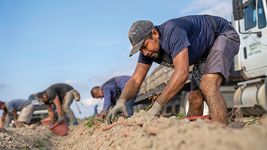 Farmworkers work in a field on a sun-filled day