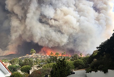 A wildfire near a suburb sends up plumes of smoke